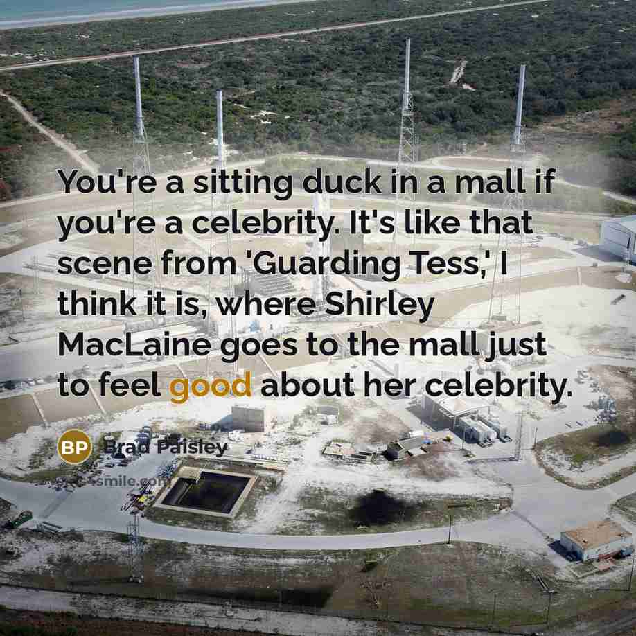 “You're a sitting duck in a mall if you're a…” quote by Brad Paisley