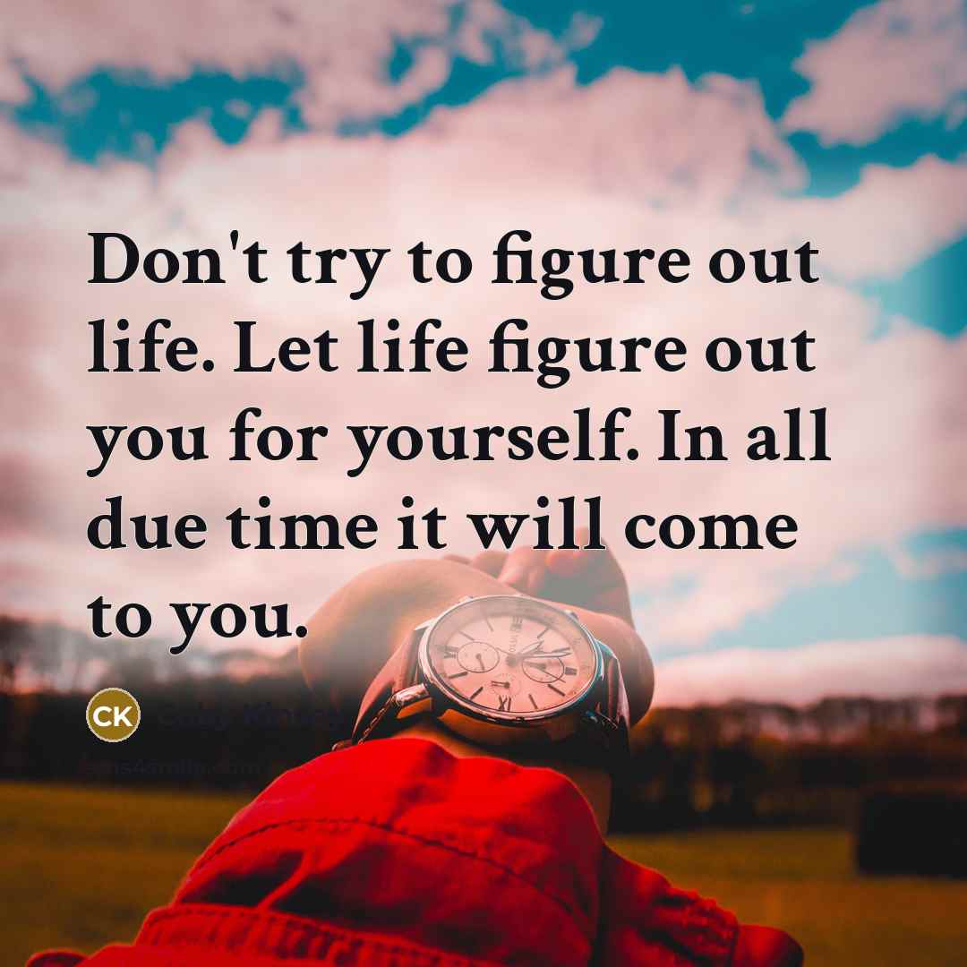 “Don't try to figure out life. Let life figure out…” quote by Coby Kinsey
