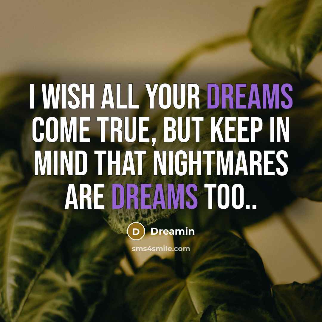 “I wish all your dreams come true, but keep in mind that nightmares are dreams too..” quote by Dreamin
