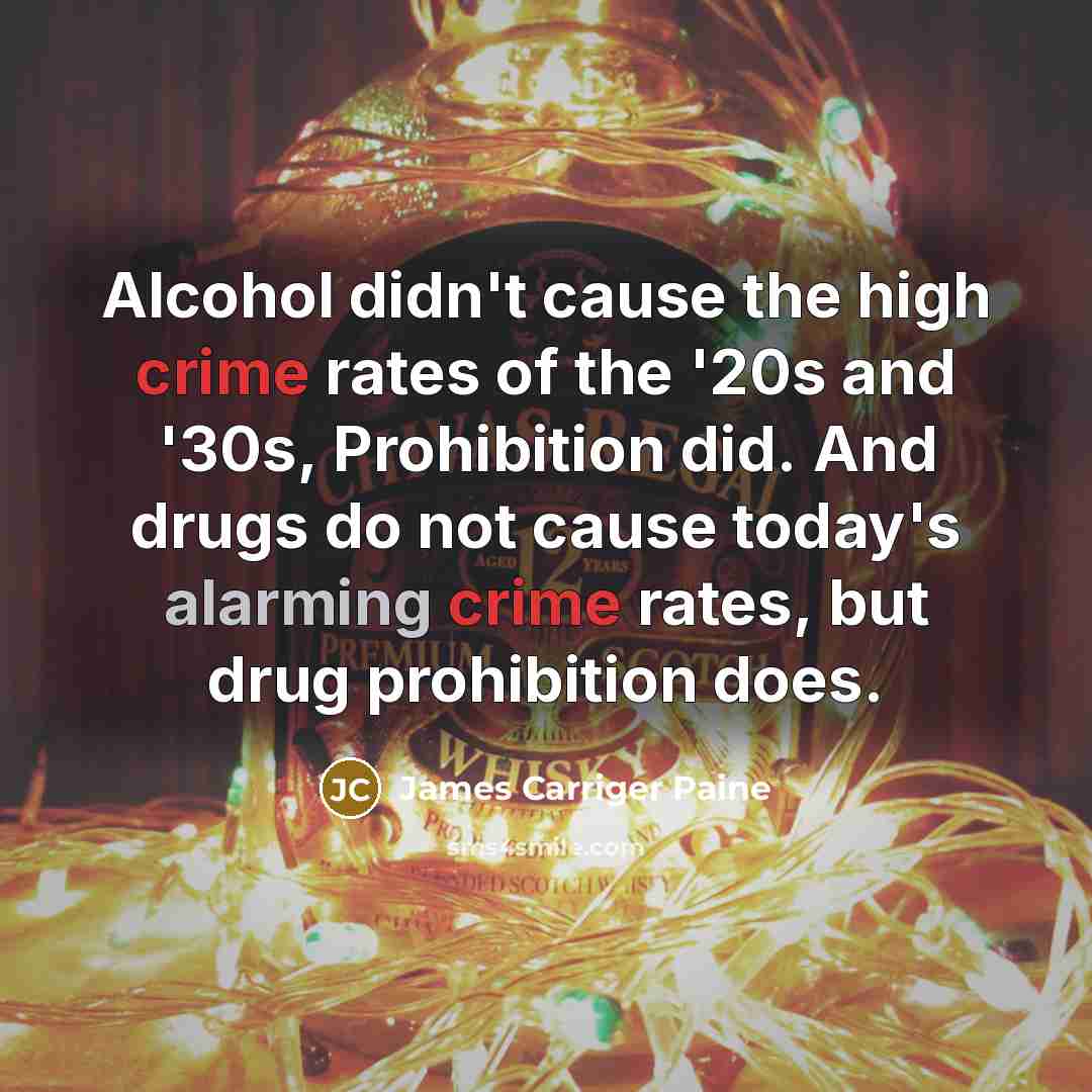 “Alcohol didn't cause the high crime rates of the '20s…” quote by James Carriger Paine
