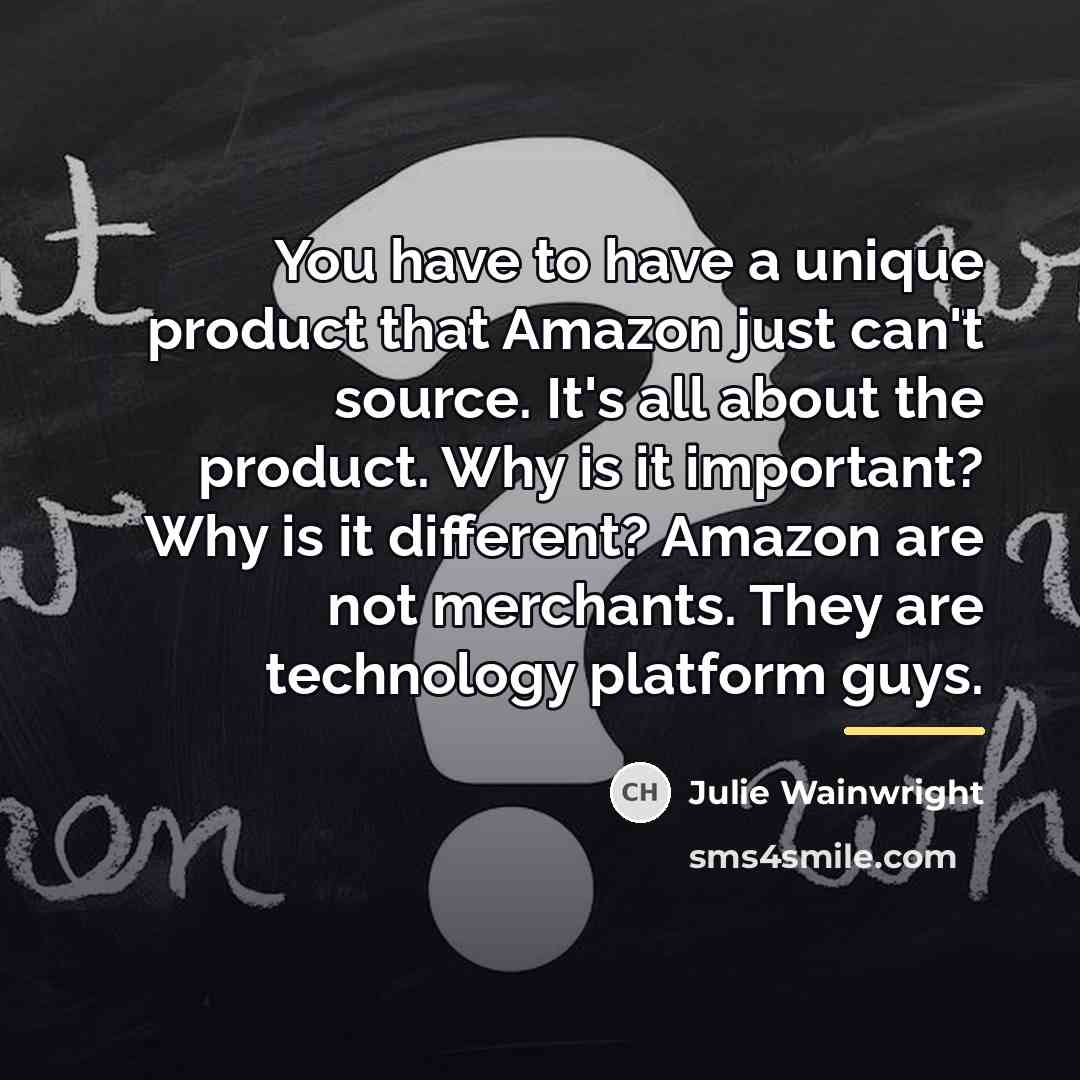 “You have to have a unique product that Amazon just…” quote by Julie Wainwright