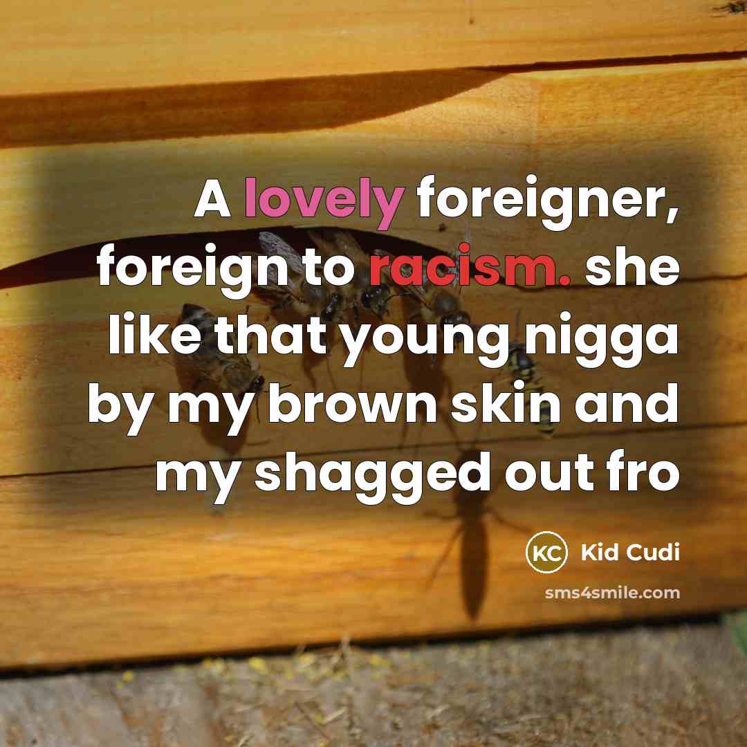 “A lovely foreigner, foreign to racism. she like that young nigga by my brown skin and my shagged out fro” quote by Kid Cudi