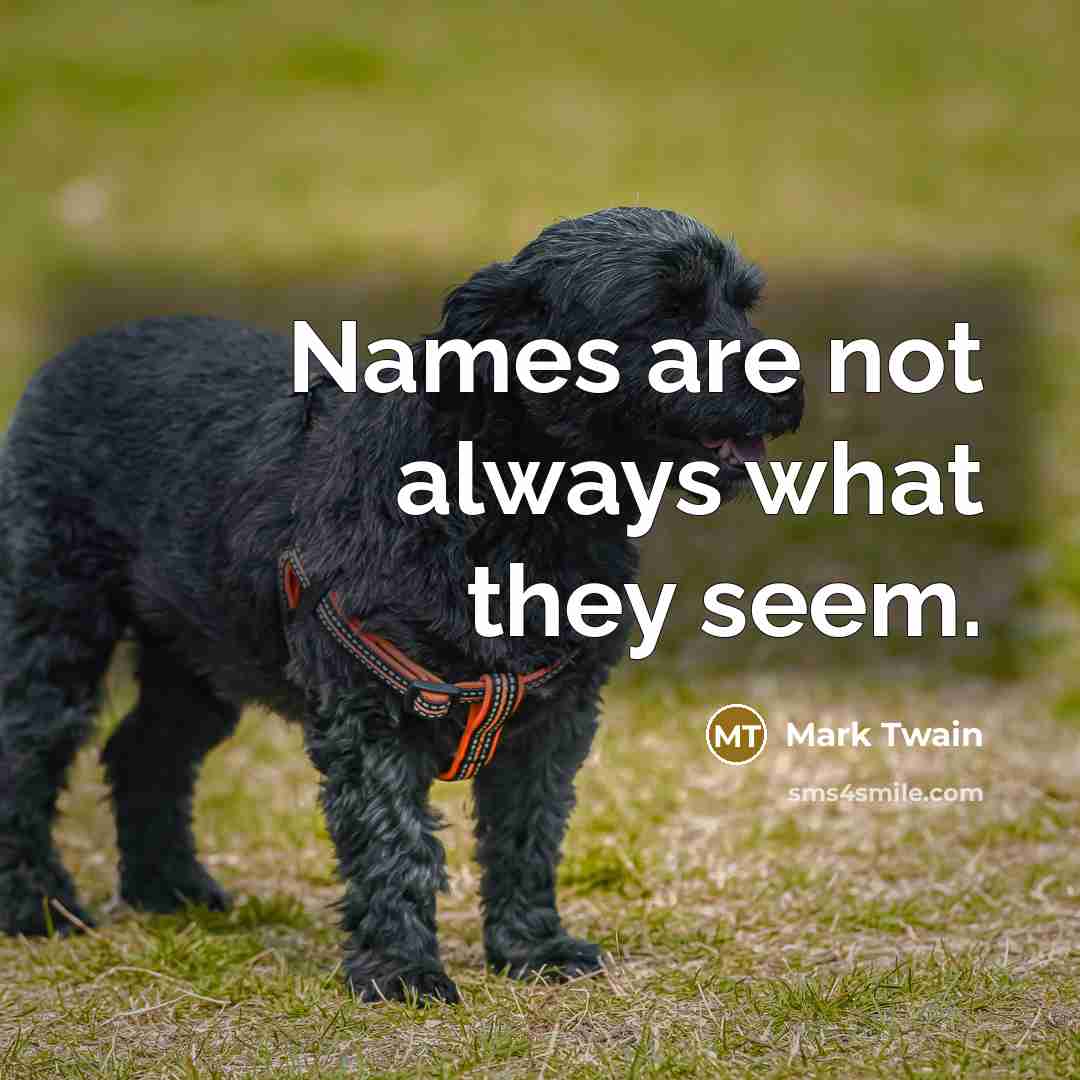 “Names are not always what they seem.” quote by Mark Twain