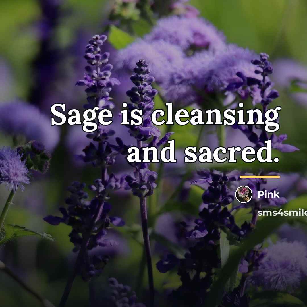 “Sage is cleansing and sacred.…” quote by Pink