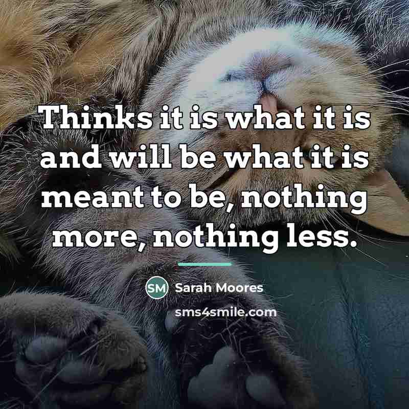 “Thinks it is what it is and will be what…” quote by Sarah Moores