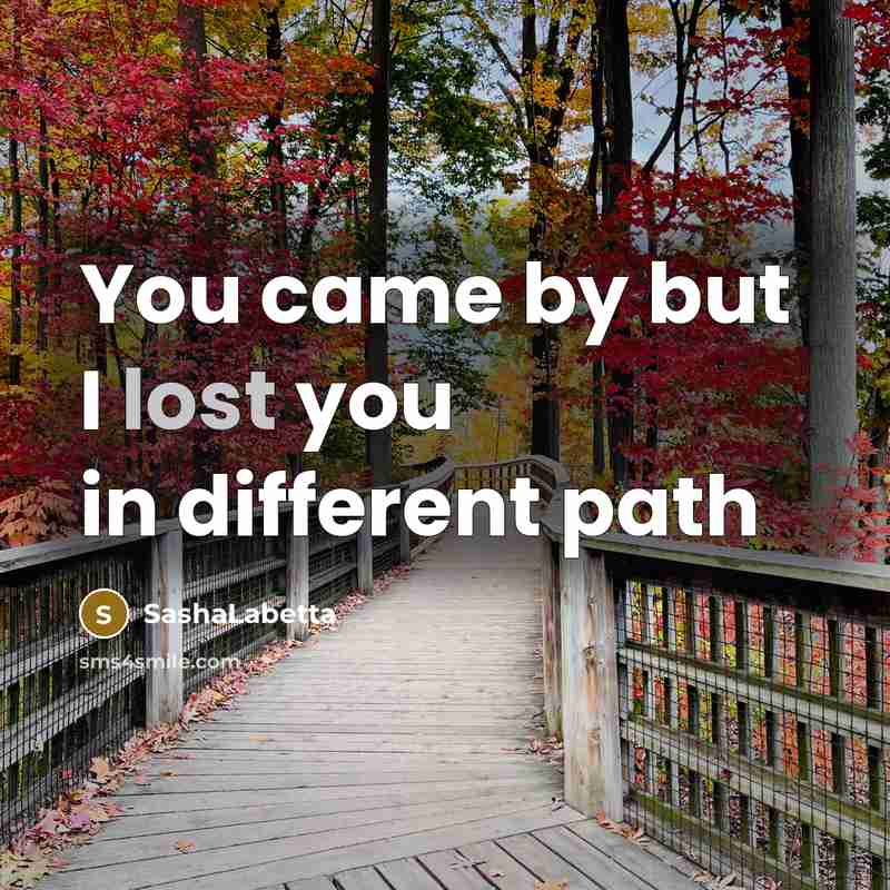 “You came by but I lost you in different path…” quote by SashaLabetta