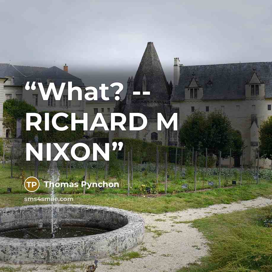 “What? -- RICHARD M NIXON” quote by Thomas Pynchon