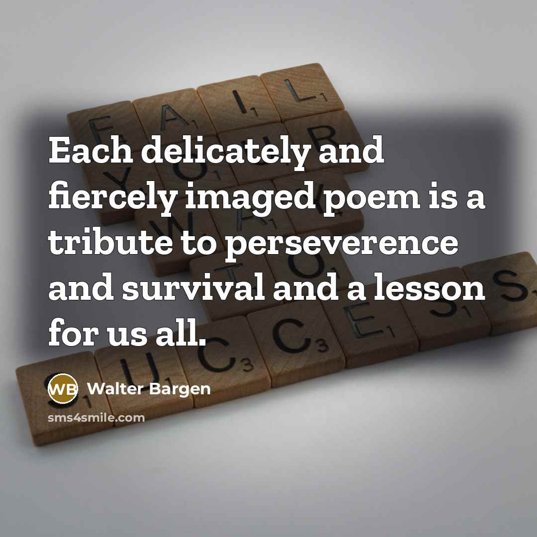 “Each delicately and fiercely imaged poem is a tribute to…” quote by Walter Bargen