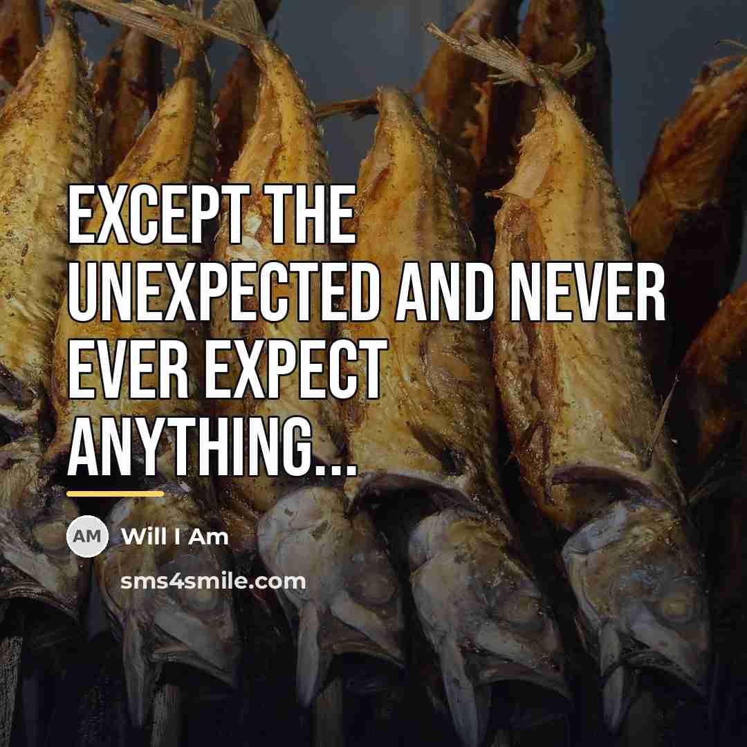“Except the unexpected and never ever expect anything...…” quote by Will I Am