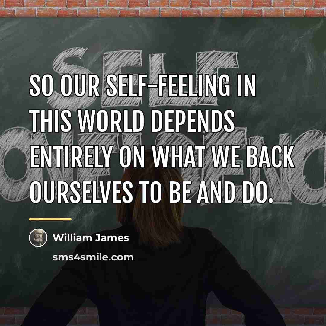 “So our self-feeling in this world depends entirely on what…” quote by William James