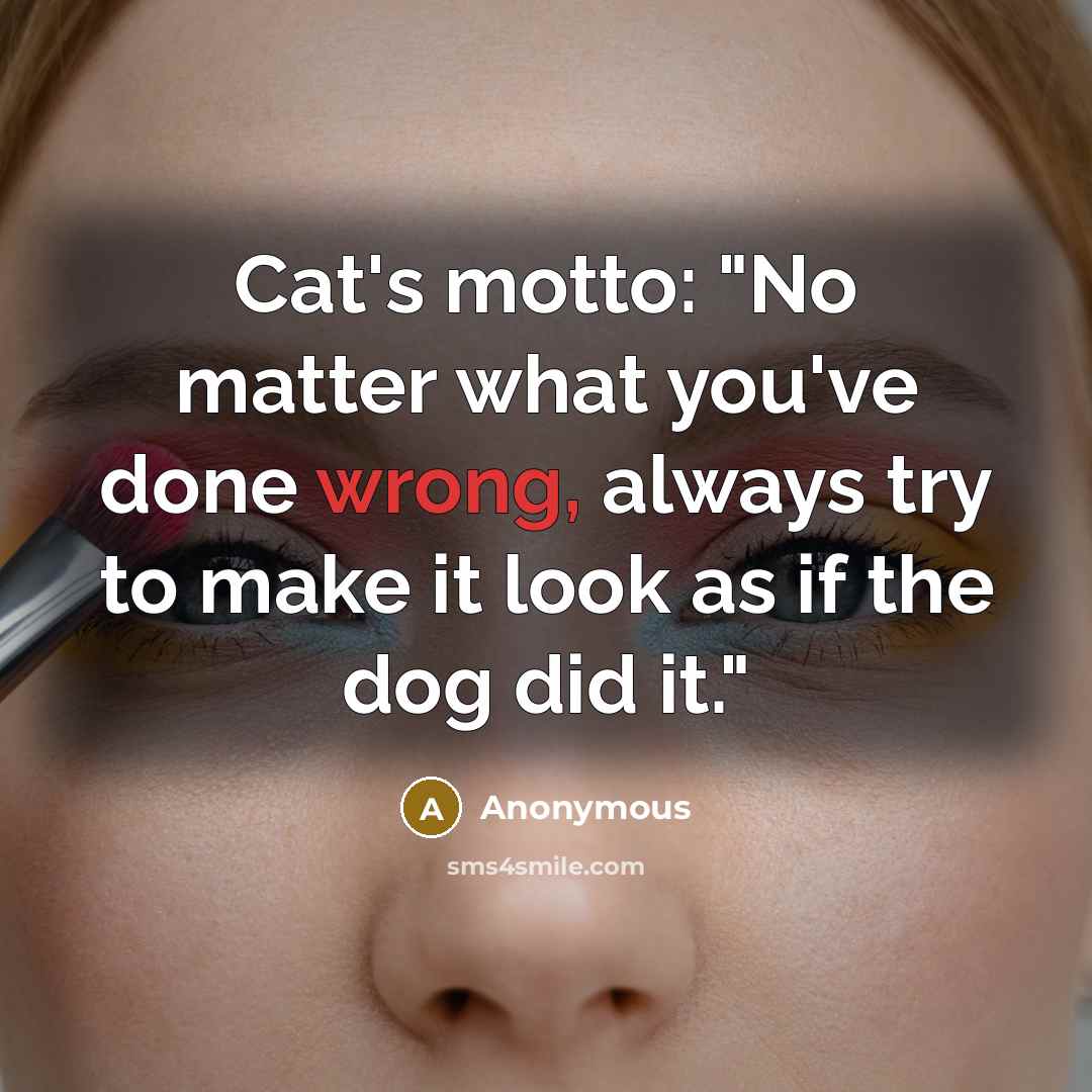 “Cat's motto: "No matter what you've done wrong, always try…” quote by Anonymous
