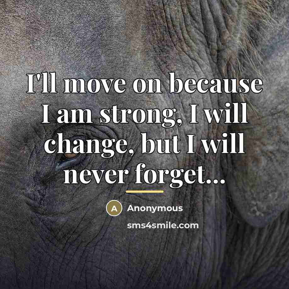 “I'll move on because I am strong, I will change,…” quote by Anonymous