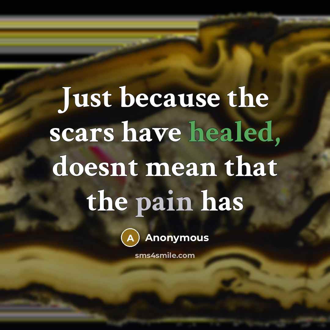 “Just because the scars have healed, doesnt mean that the pain has” quote by Anonymous