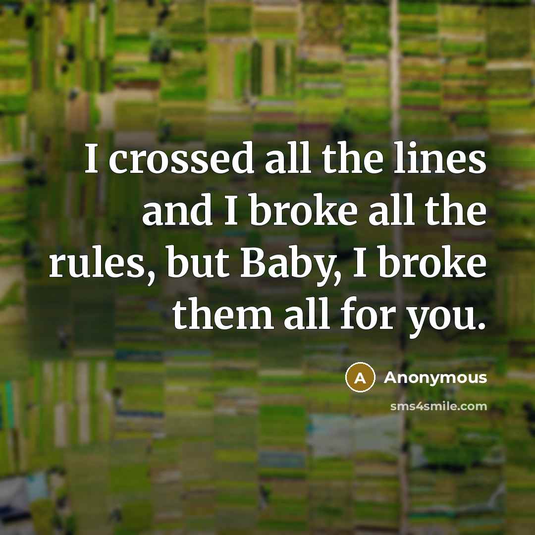 “I crossed all the lines and I broke all the rules, but Baby, I broke them all for you.” quote by Anonymous