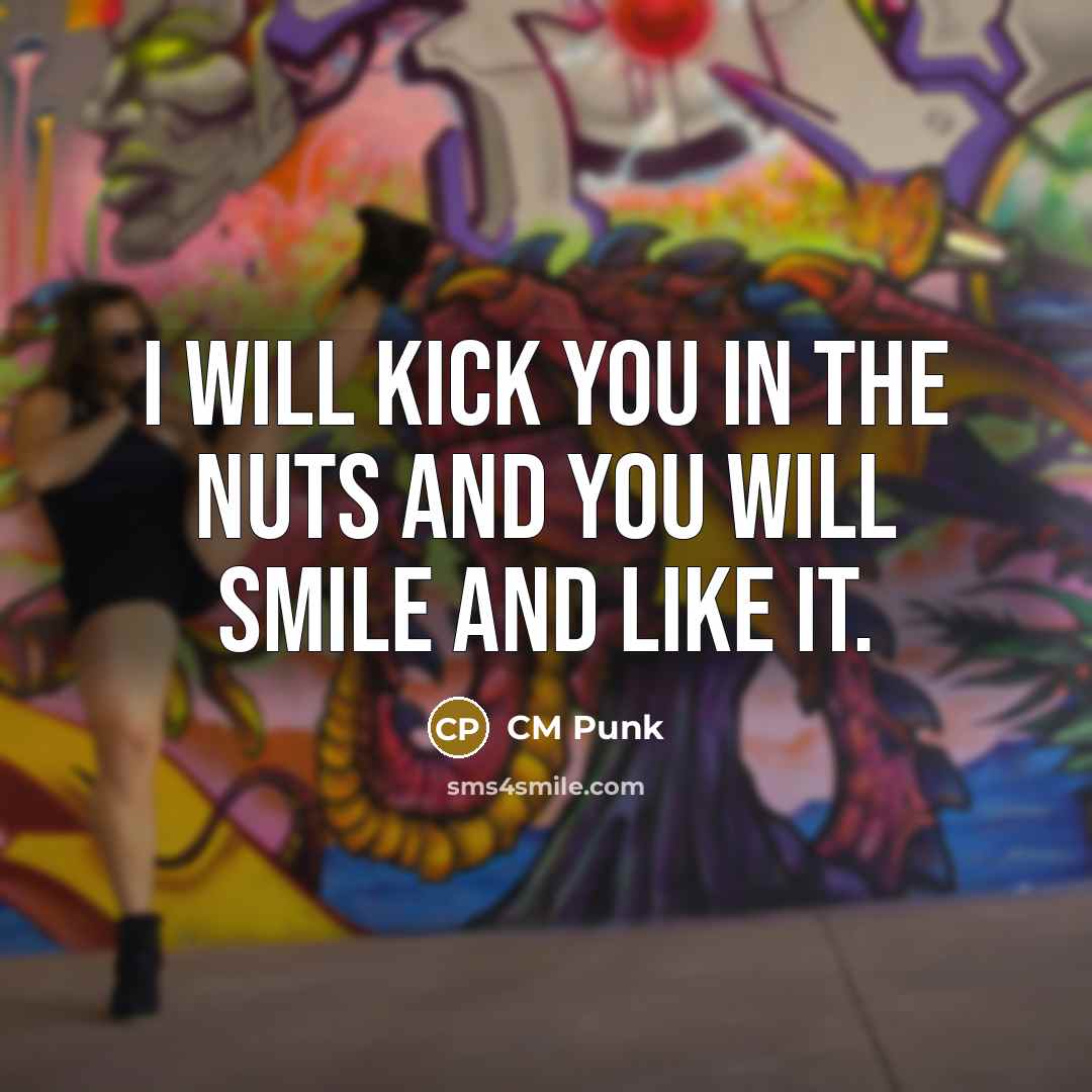 “I will kick you in the nuts and you will smile and like it.” quote by CM Punk