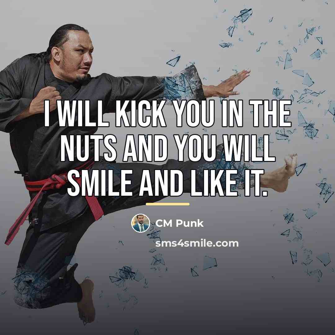 “I will kick you in the nuts and you will…” quote by CM Punk