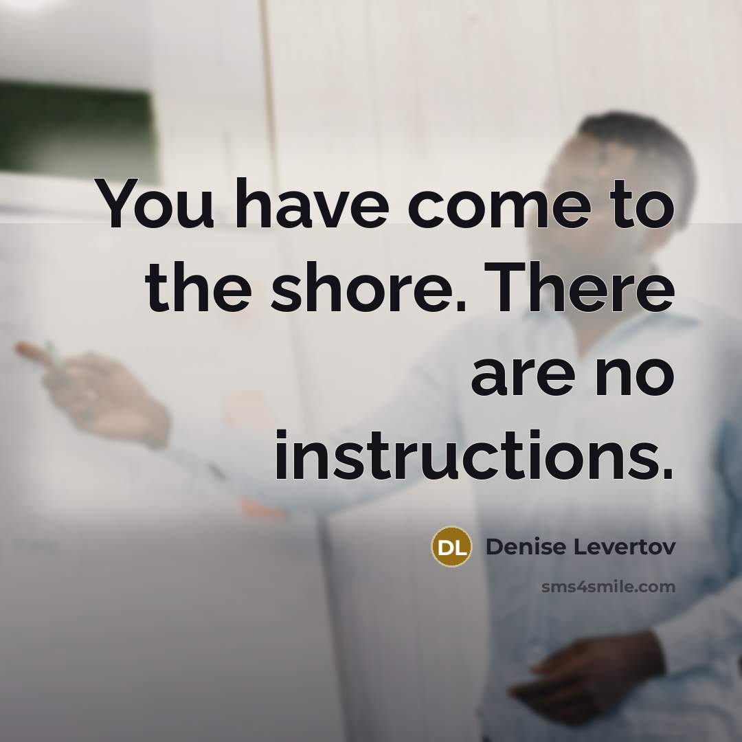 “You have come to the shore. There are no instructions.…” quote by Denise Levertov