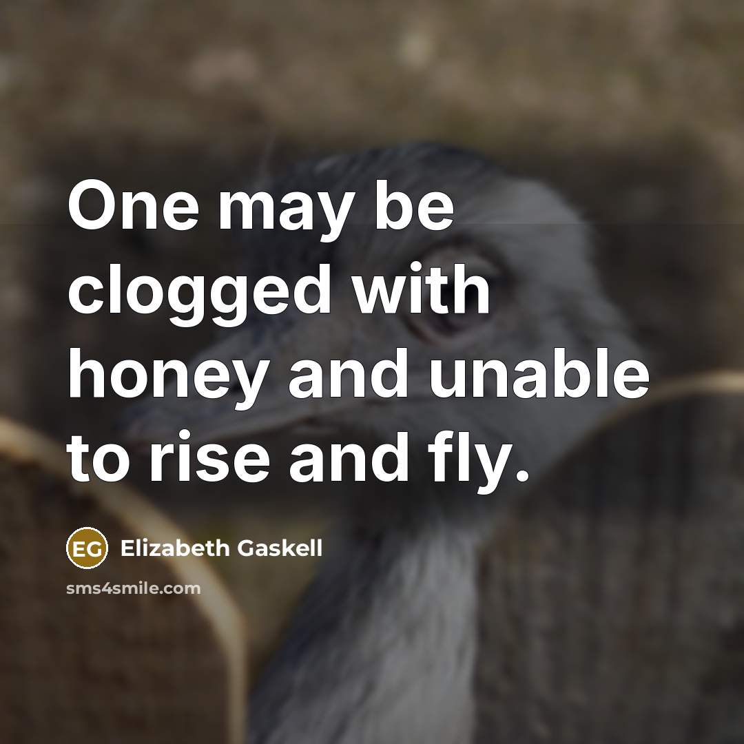 “One may be clogged with honey and unable to rise…” quote by Elizabeth Gaskell