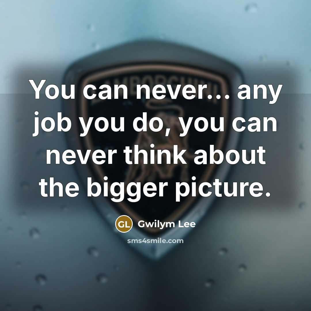 “You can never... any job you do, you can never…” quote by Gwilym Lee