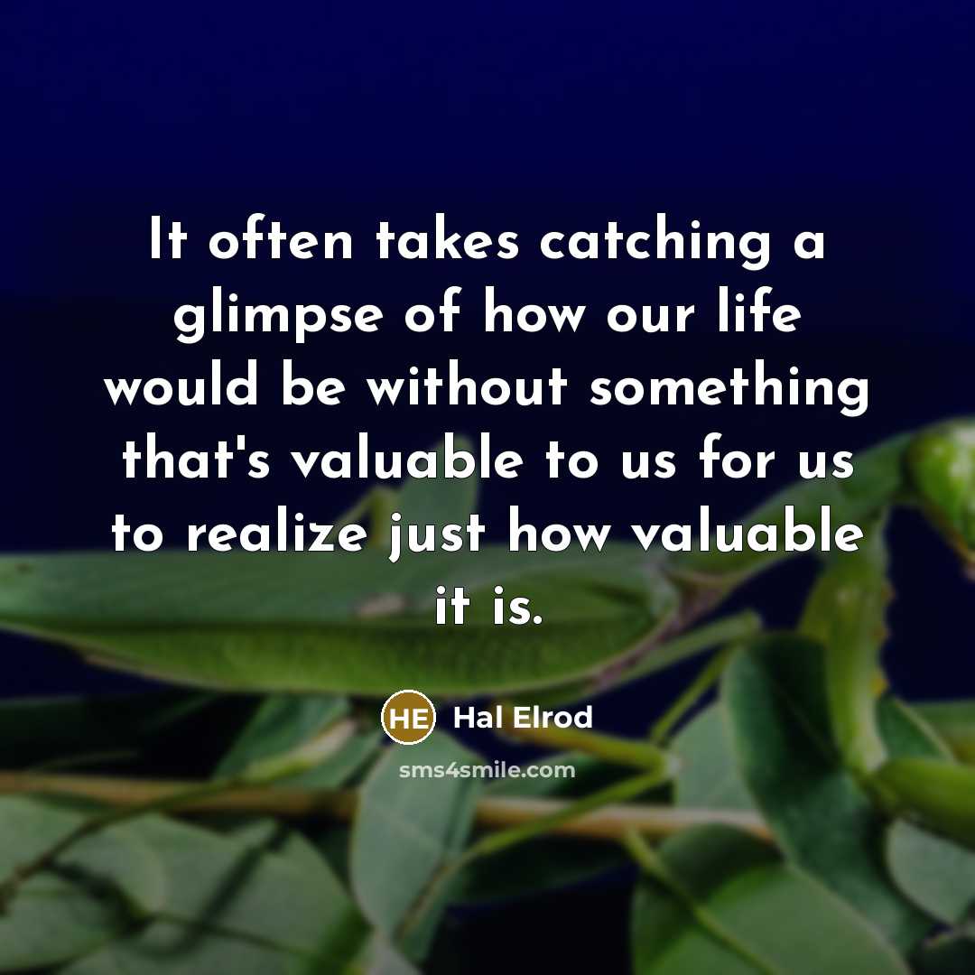 “It often takes catching a glimpse of how our life…” quote by Hal Elrod