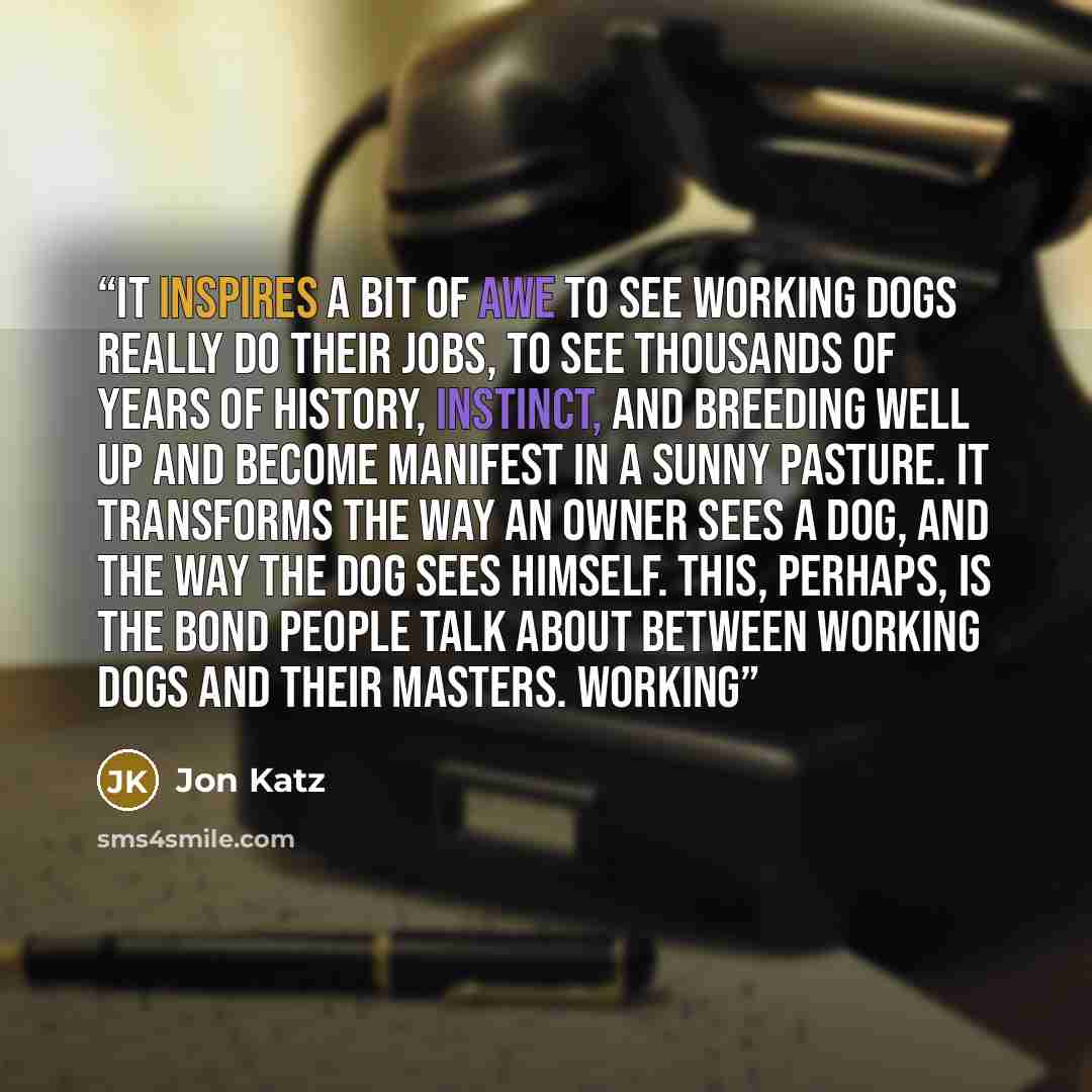 “It inspires a bit of awe to see working dogs really do their jobs, to see thousands of years of history, instinct, and breeding well up and become manifest in a sunny pasture. It transforms the way an owner sees a dog, and the way the dog sees himself. This, perhaps, is the bond people talk about…” quote by Jon Katz