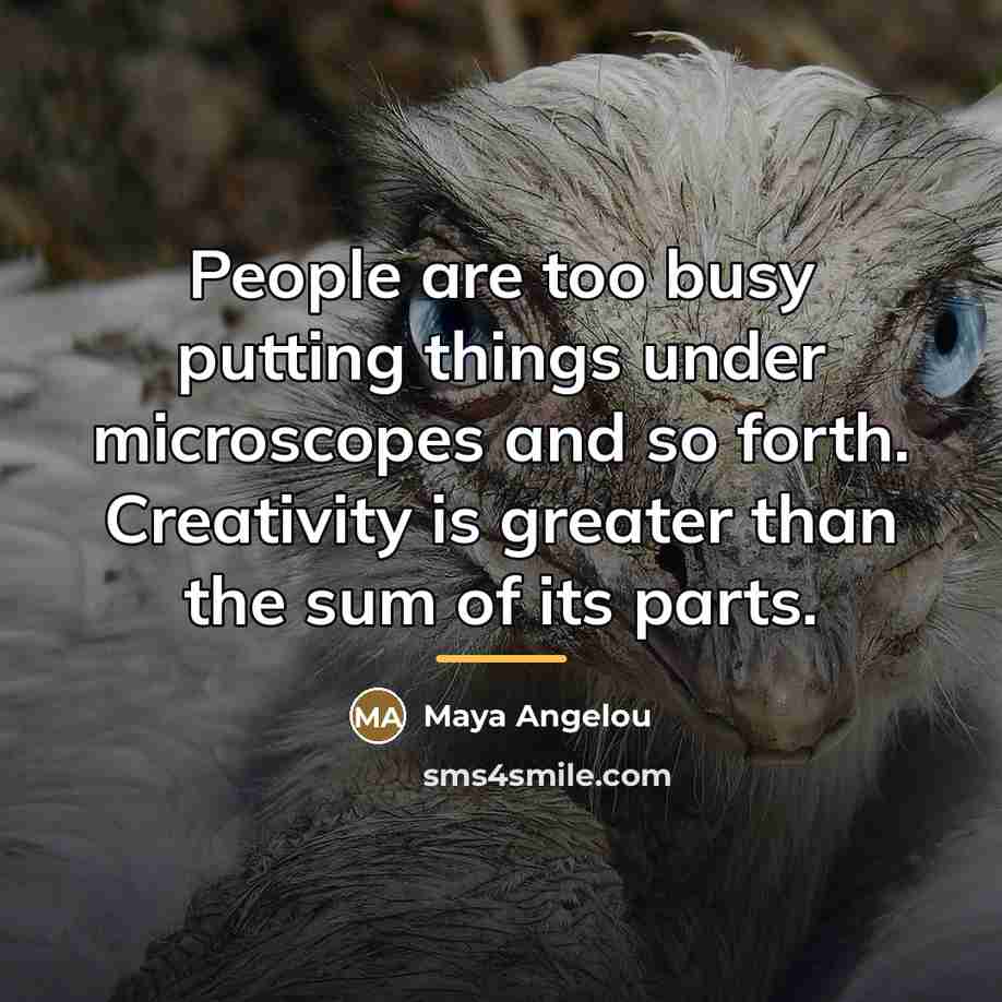 “People are too busy putting things under microscopes and so…” quote by Maya Angelou