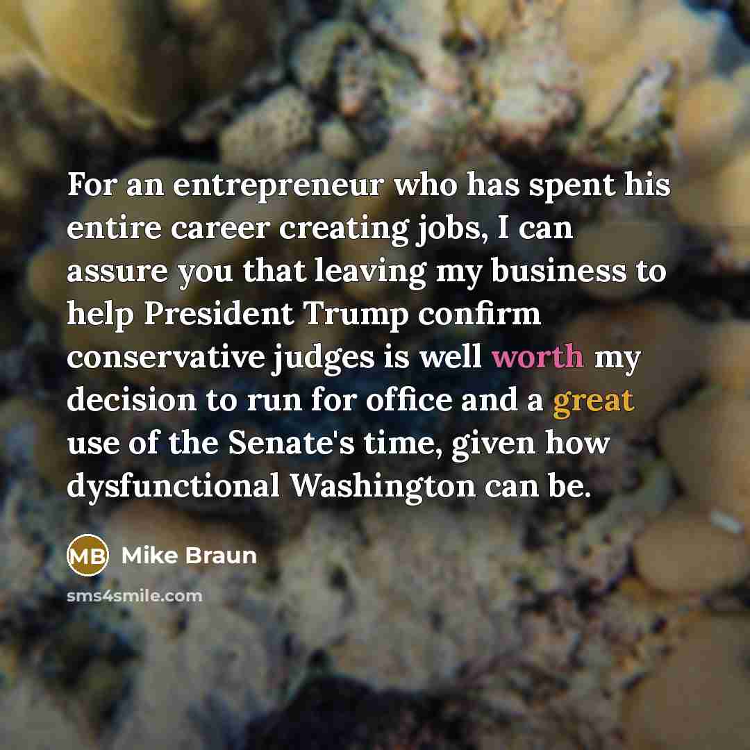 “For an entrepreneur who has spent his entire career creating…” quote by Mike Braun