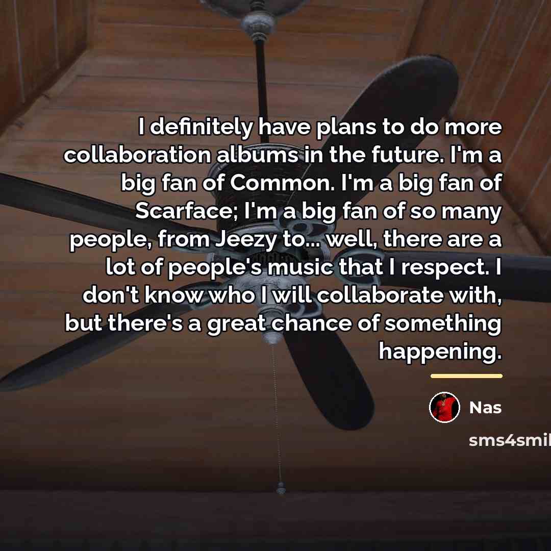 “I definitely have plans to do more collaboration albums in…” quote by Nas