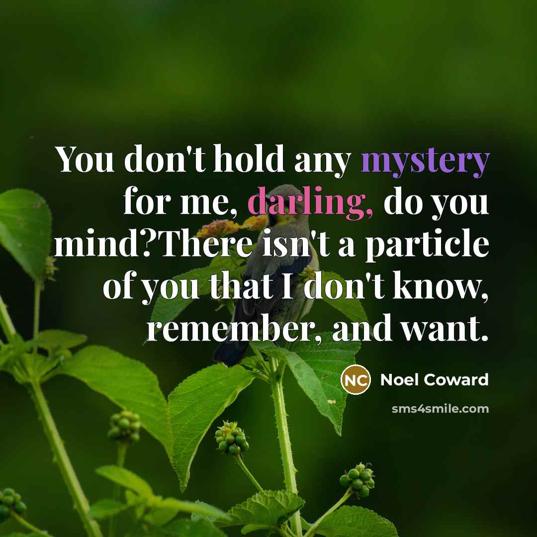 “You don't hold any mystery for me, darling, do you…” quote by Noël Coward