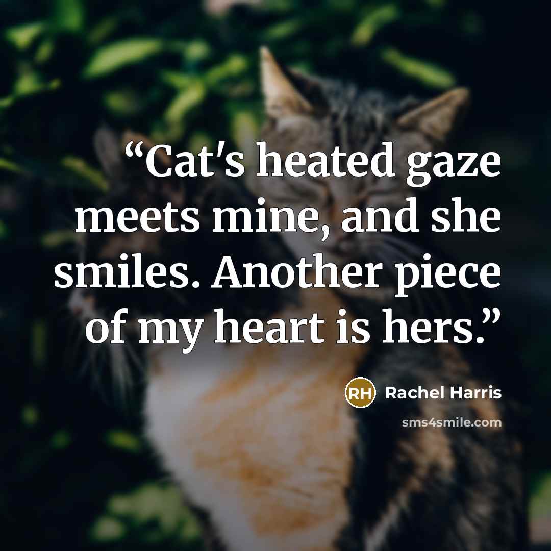 “Cat's heated gaze meets mine, and she smiles. Another piece of my heart is hers.” quote by Rachel Harris