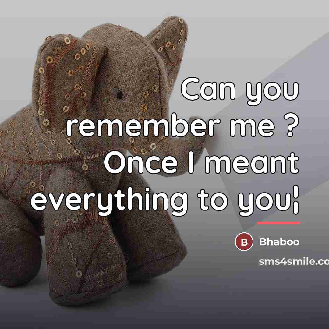 “Can you remember me ? Once I meant everything to…” quote by Bhaboo