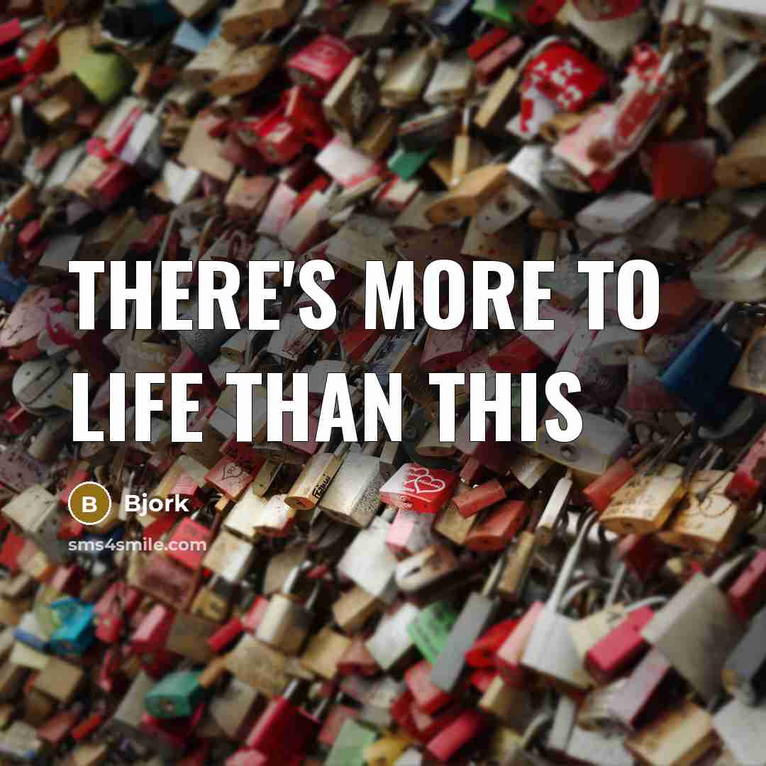 “There's more to Life than this…” quote by Bjork