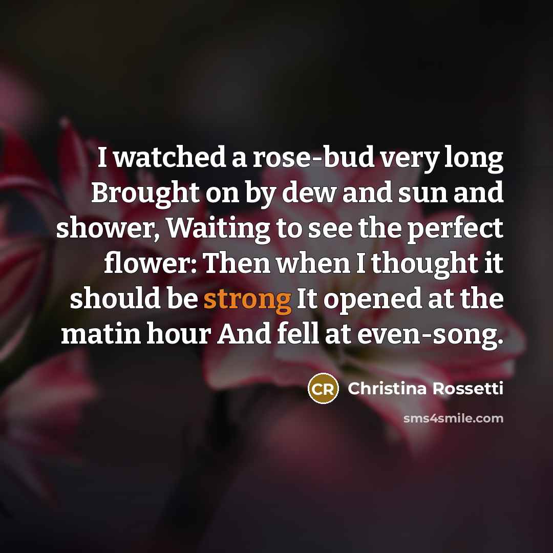 “I watched a rose-bud very long Brought on by dew…” quote by Christina Rossetti