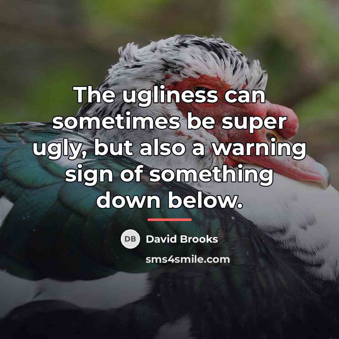 “The ugliness can sometimes be super ugly, but also a…” quote by David Brooks