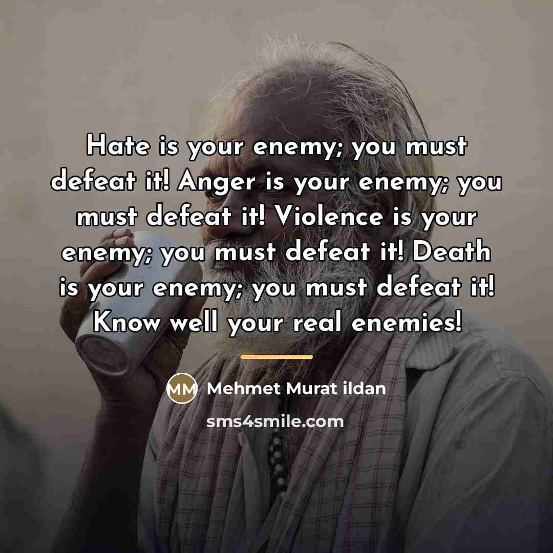“Hate is your enemy; you must defeat it! Anger is…” quote by Mehmet Murat Ildan
