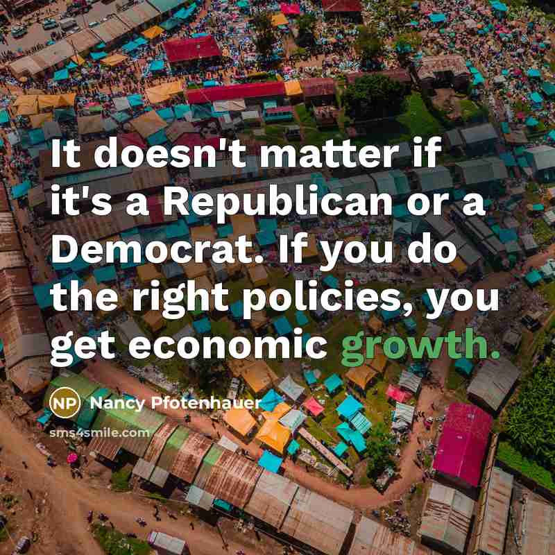 “It doesn't matter if it's a Republican or a Democrat.…” quote by Nancy Pfotenhauer