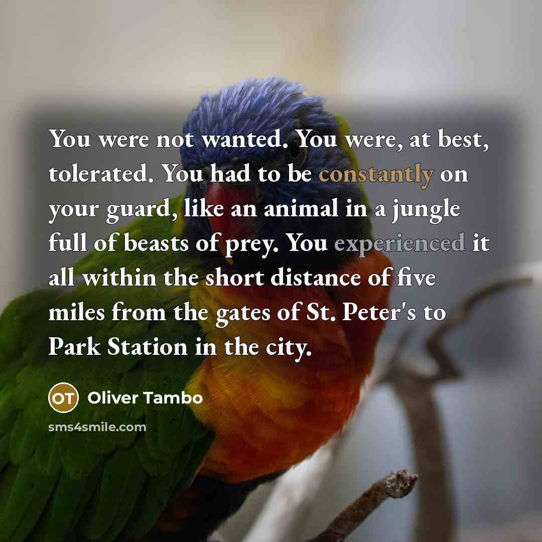 “You were not wanted. You were, at best, tolerated. You…” quote by Oliver Tambo