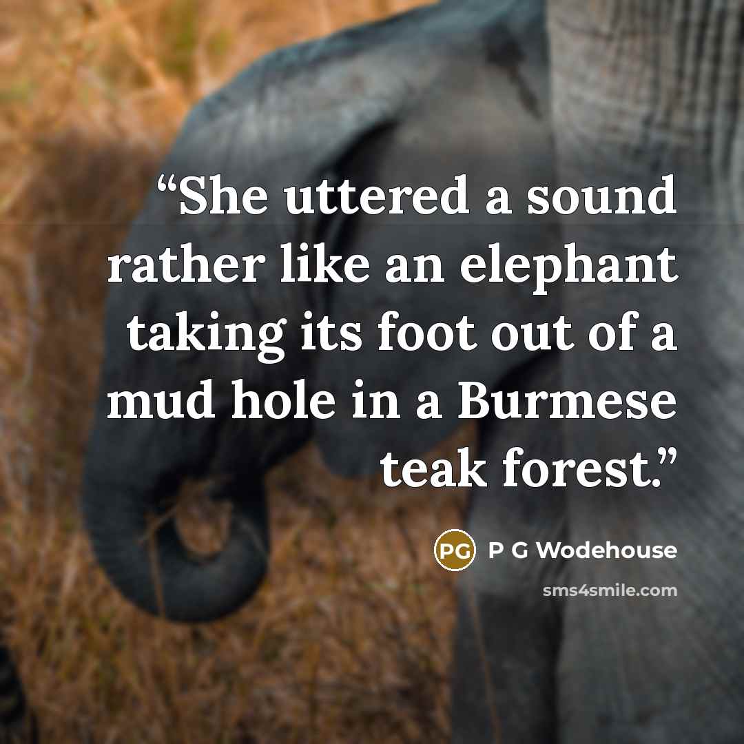 “She uttered a sound rather like an elephant taking its foot out of a mud hole in a Burmese teak forest.” quote by P G Wodehouse