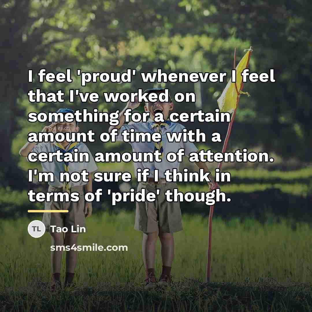 “I feel 'proud' whenever I feel that I've worked on…” quote by Tao Lin