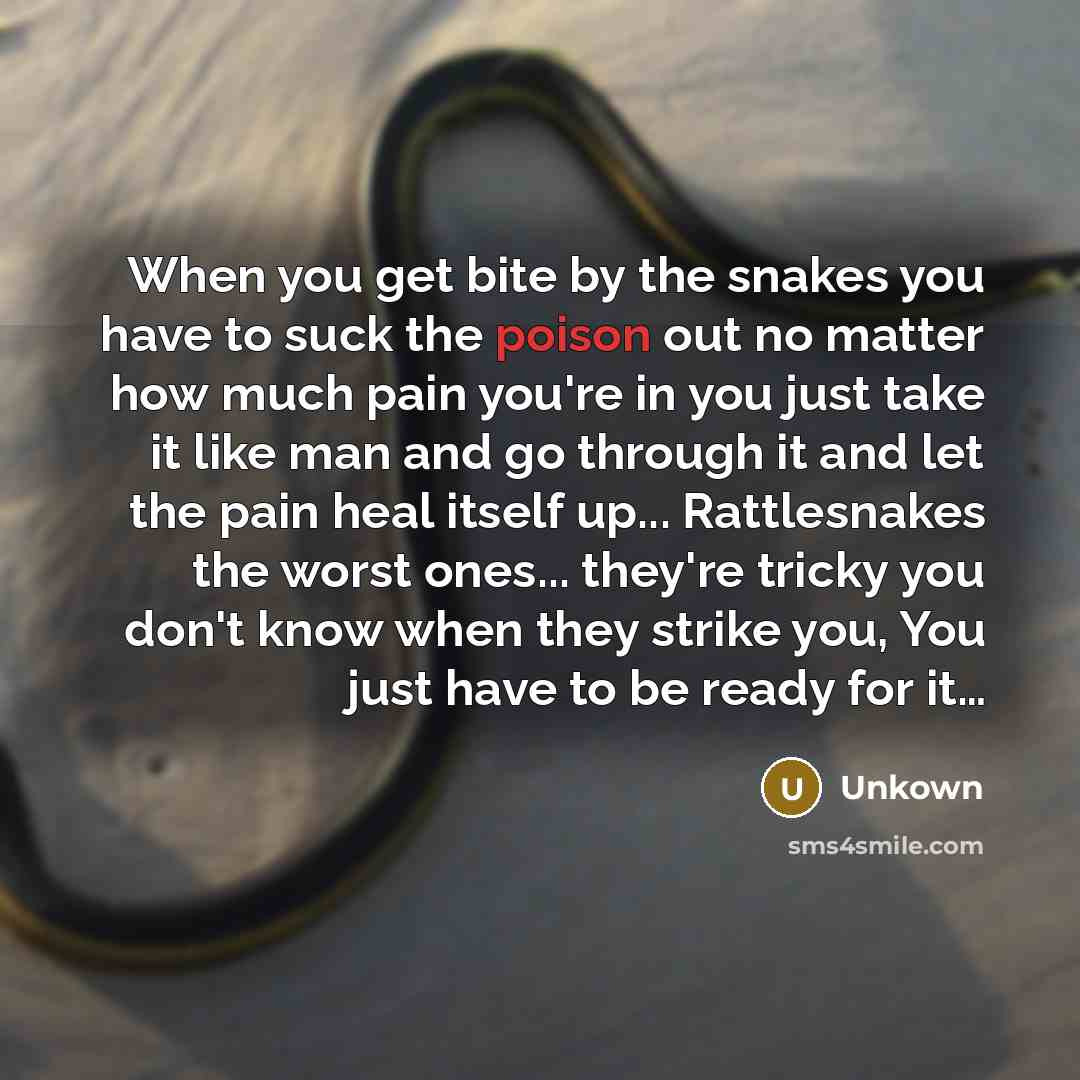 “When you get bite by the snakes you have to…” quote by Unkown