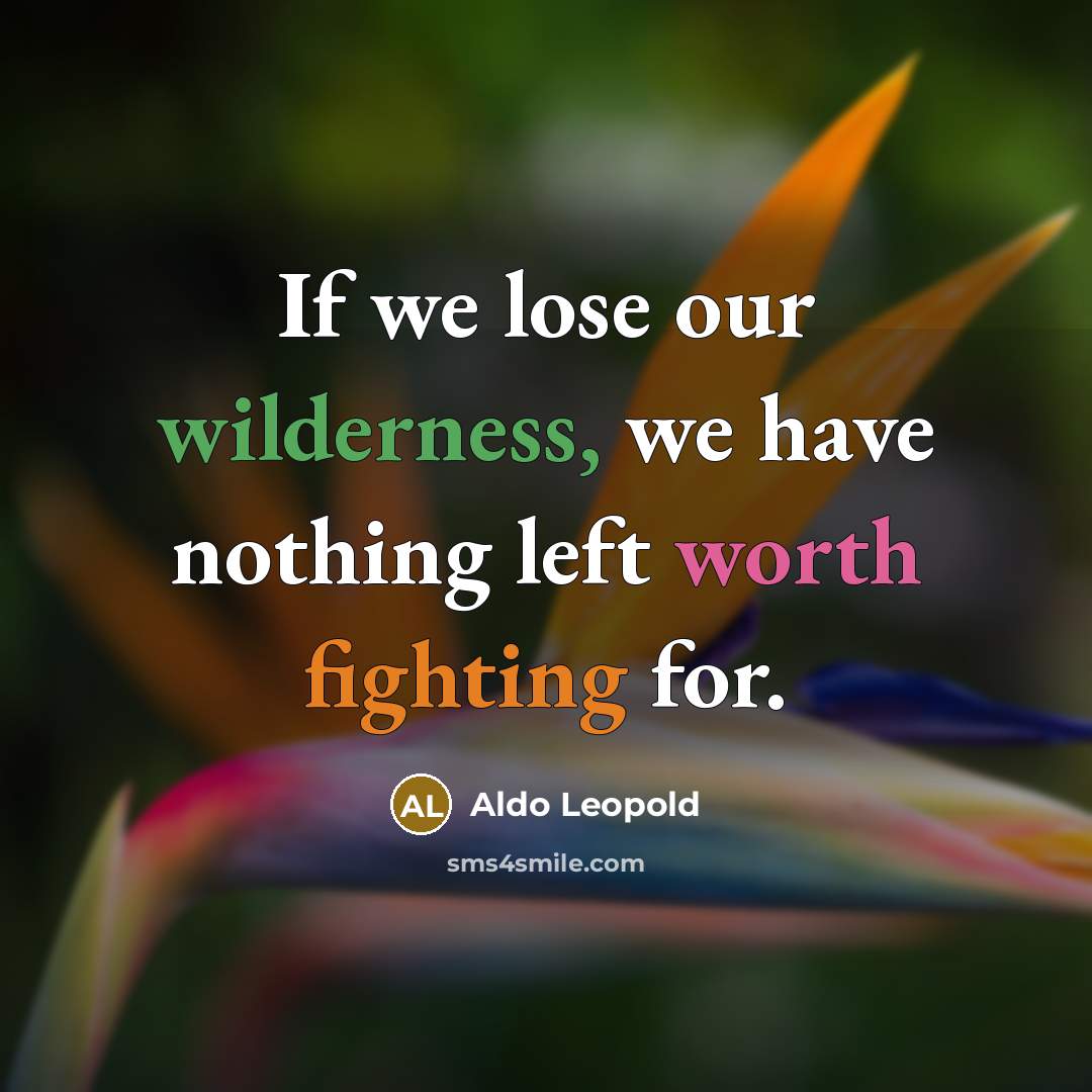 “If we lose our wilderness, we have nothing left worth…” quote by Aldo Leopold