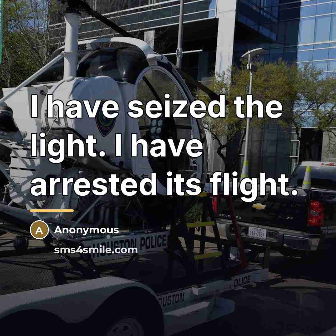 “I have seized the light. I have arrested its flight.…” quote by Anonymous