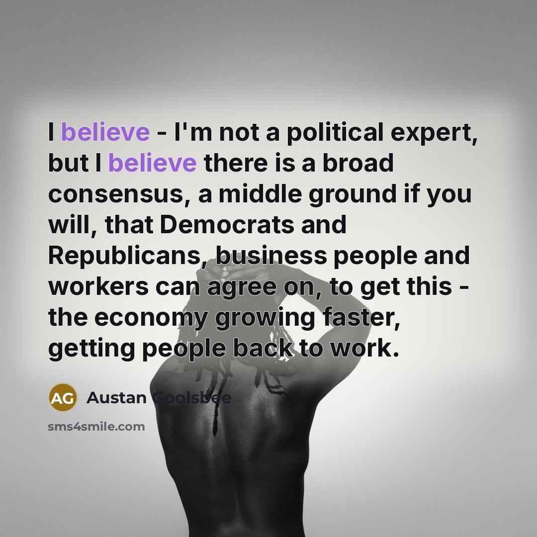 “I believe - I'm not a political expert, but I…” quote by Austan Goolsbee