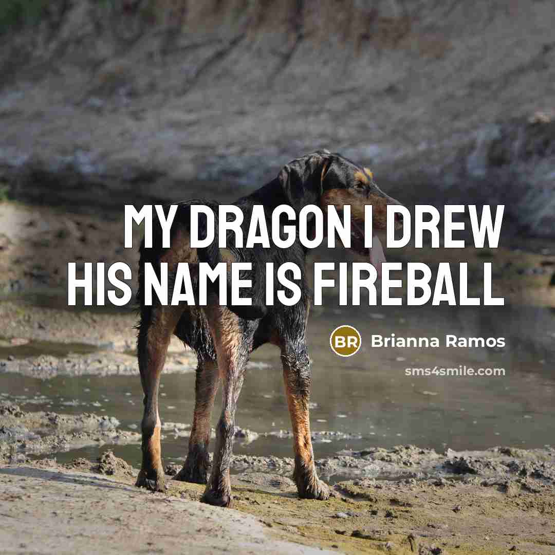 “My dragon I drew his name is fireball…” quote by Brianna Ramos