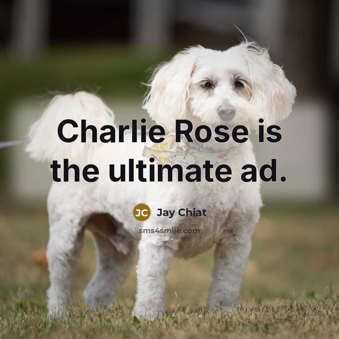 “Charlie Rose is the ultimate ad.…” quote by Jay Chiat