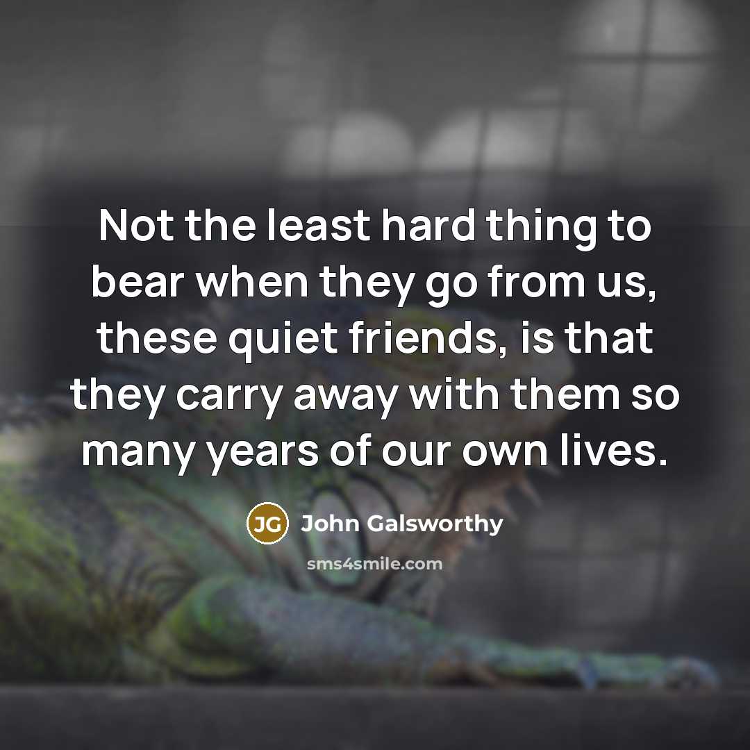 “Not the least hard thing to bear when they go…” quote by John Galsworthy