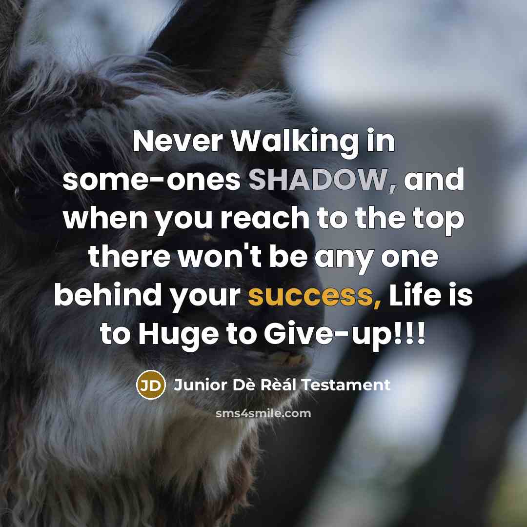 “Never Walking in some-ones SHADOW, and when you reach to…” quote by Junior Dè Rèál Testament