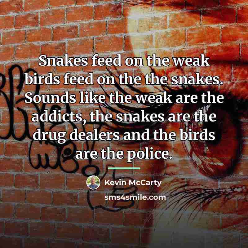 “Snakes feed on the weak birds feed on the the…” quote by Kevin McCarty
