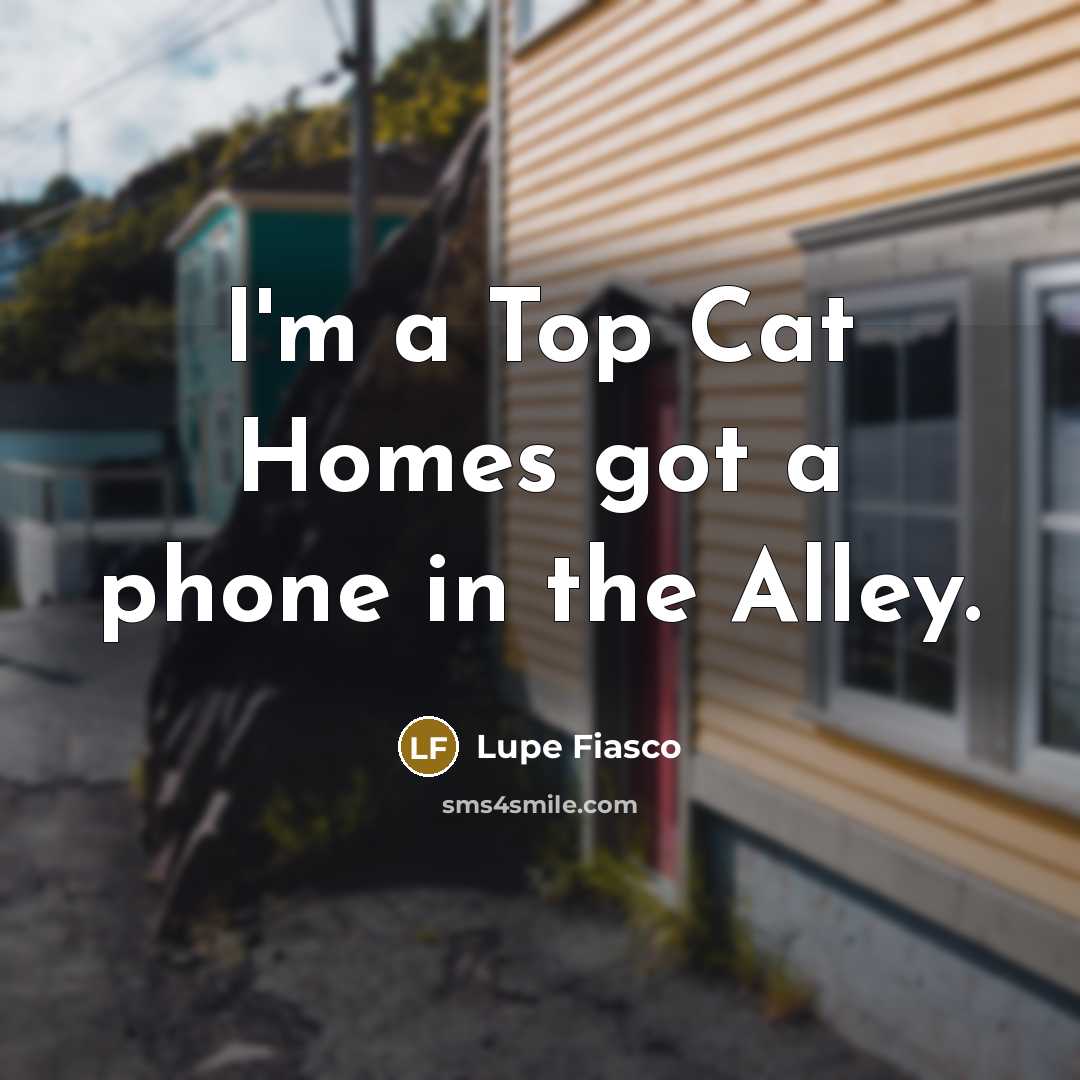 “I'm a Top Cat Homes got a phone in the…” quote by Lupe Fiasco