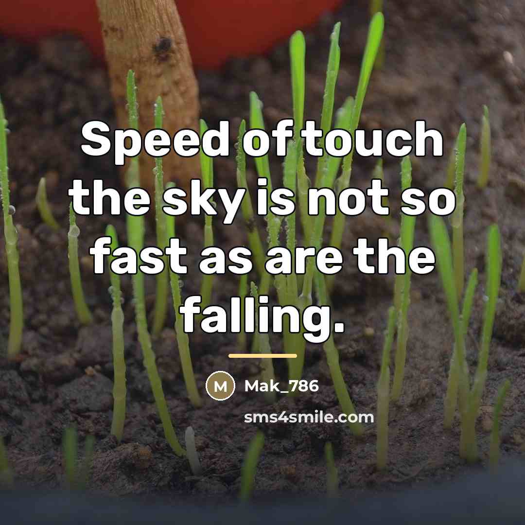 “Speed of touch the sky is not so fast as…” quote by Mak_786